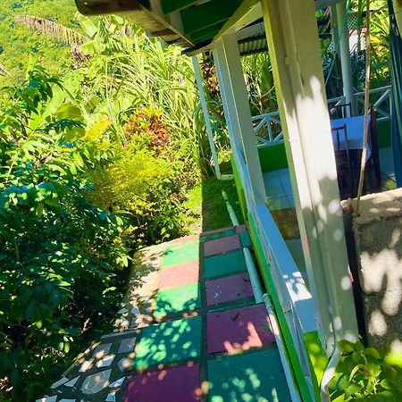 Le Petit Paradis Roseau Ngoại thất bức ảnh