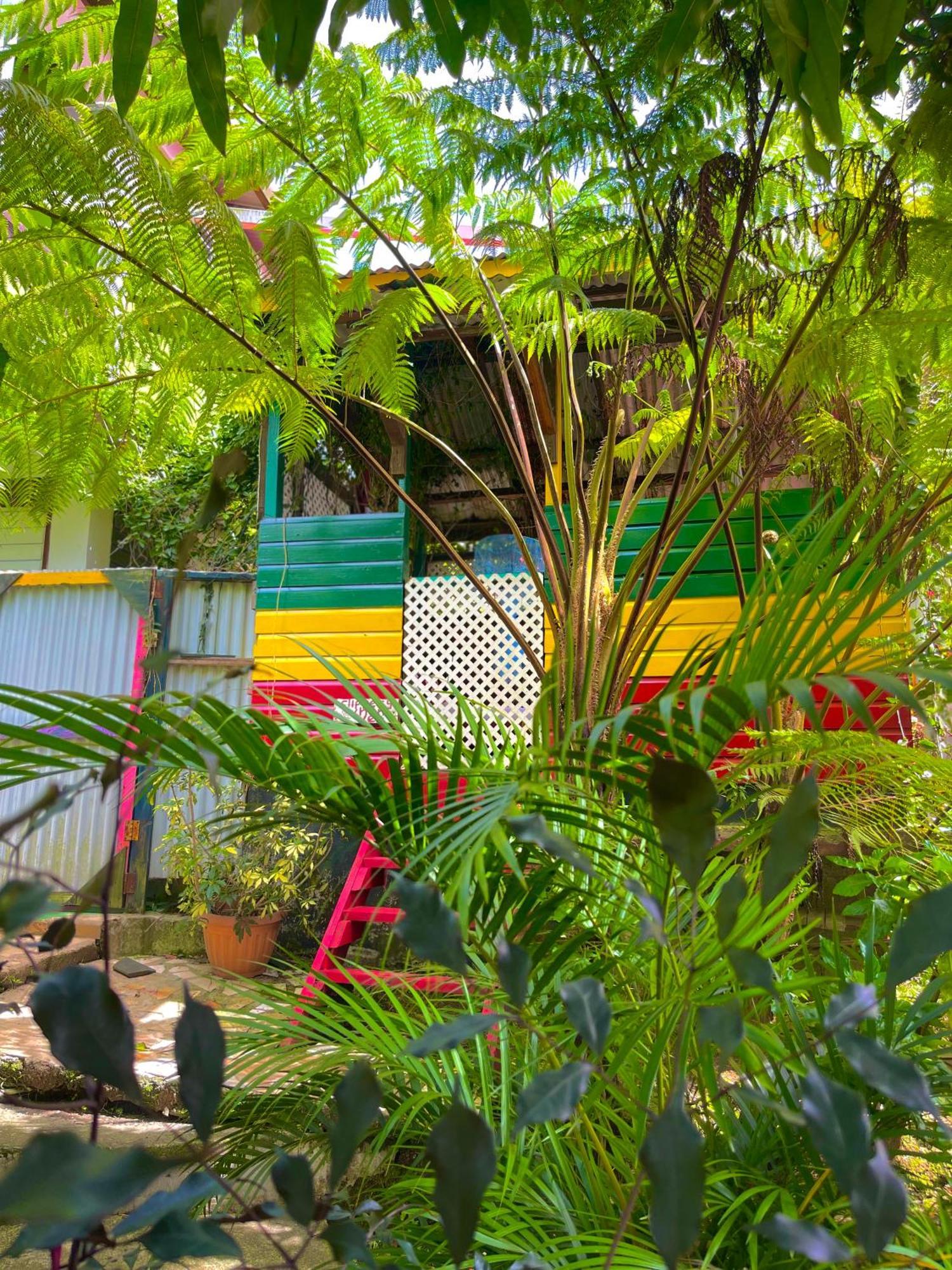 Le Petit Paradis Roseau Ngoại thất bức ảnh