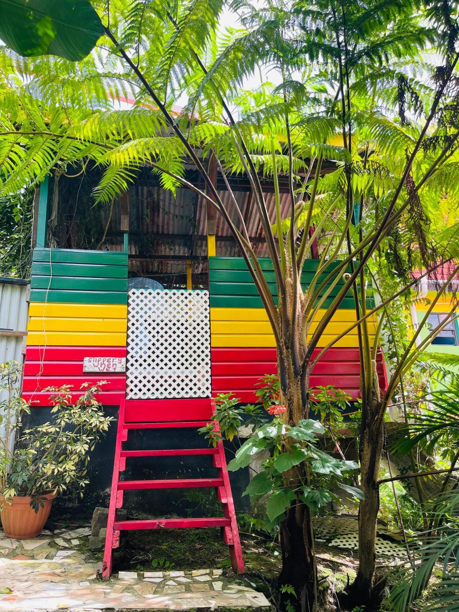 Le Petit Paradis Roseau Ngoại thất bức ảnh
