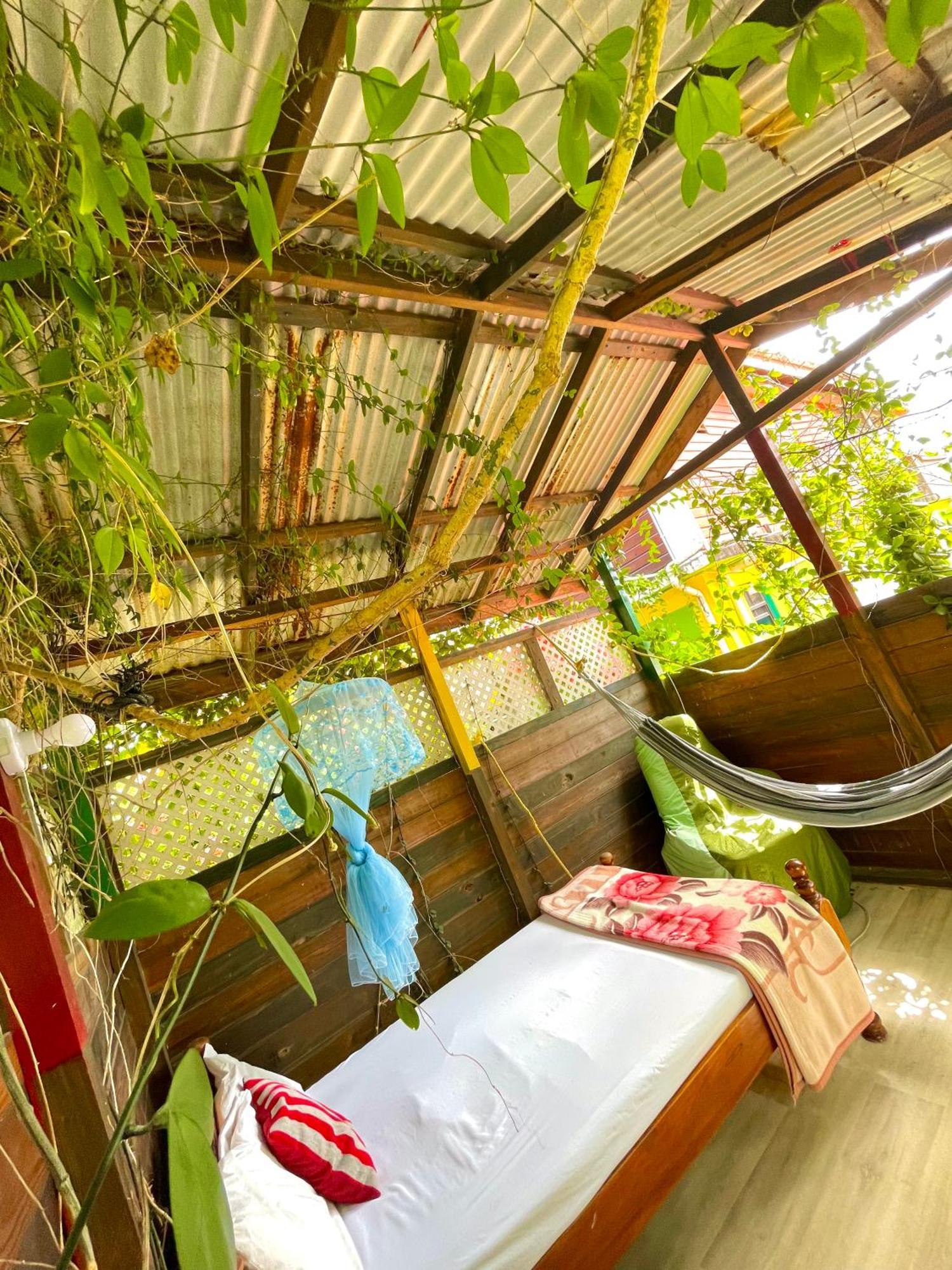 Le Petit Paradis Roseau Ngoại thất bức ảnh