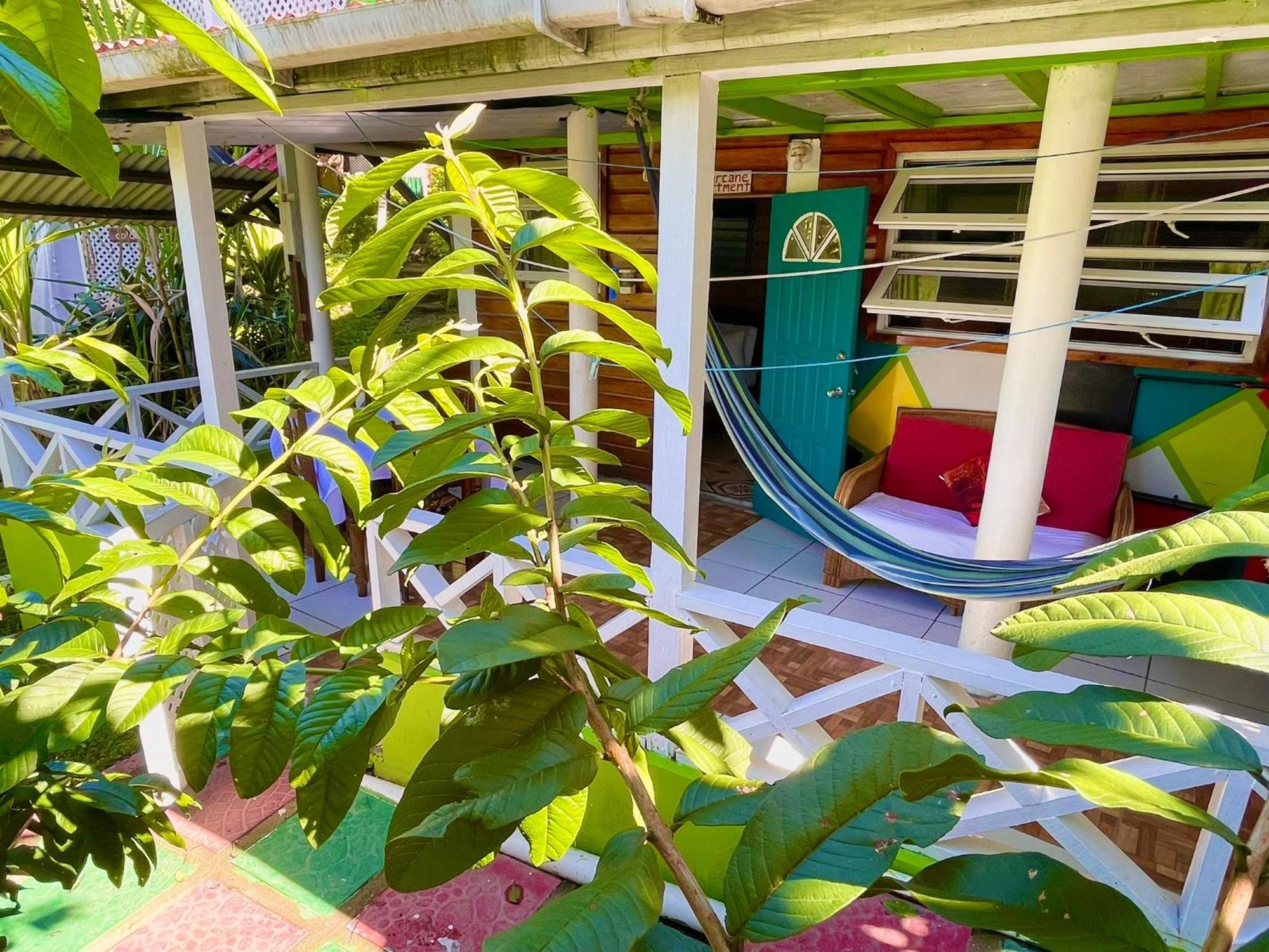 Le Petit Paradis Roseau Ngoại thất bức ảnh