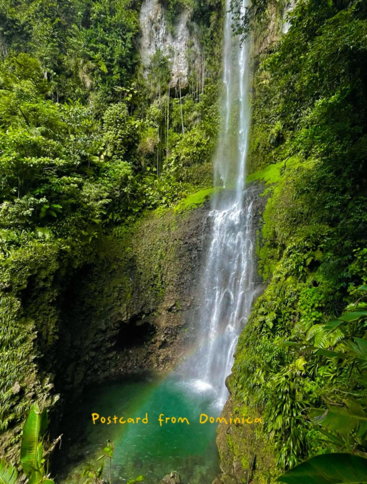 Le Petit Paradis Roseau Ngoại thất bức ảnh